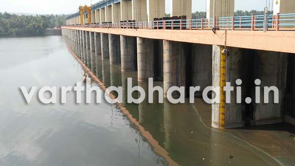 ತುಂಬೆ ಅಣೆಕಟ್ಟಿಗೆ ಹರಿದ ಎಎಂಆರ್ ನೀರು